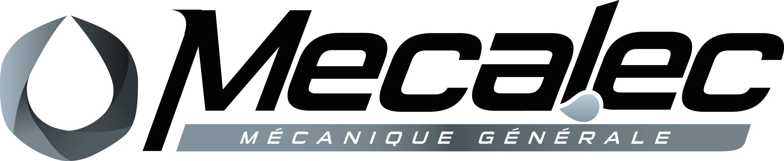 Logo Mecalec