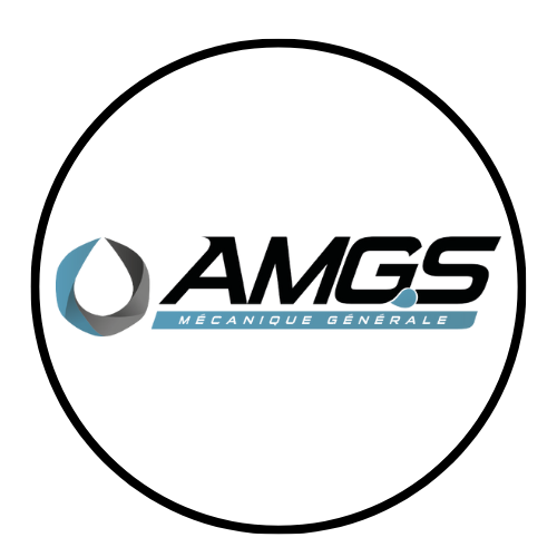 logo AMGS